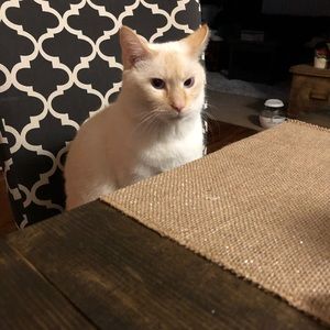 Meet your Posher, Sara